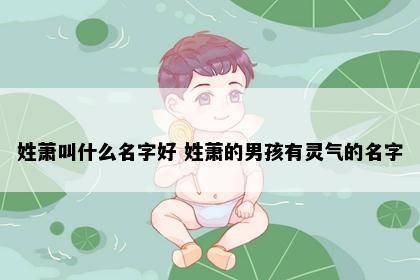 姓萧叫什么名字好 姓萧的男孩有灵气的名字