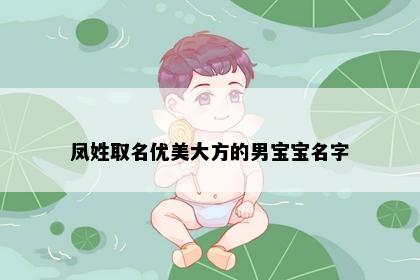 凤姓取名优美大方的男宝宝名字