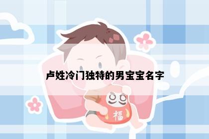 卢姓冷门独特的男宝宝名字