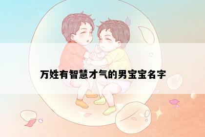万姓有智慧才气的男宝宝名字