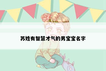 苏姓有智慧才气的男宝宝名字