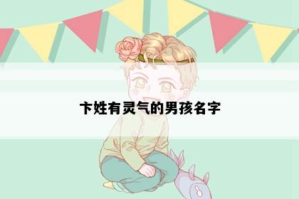 卞姓有灵气的男孩名字