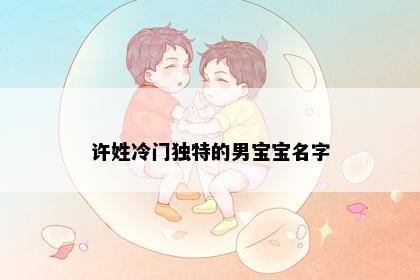 许姓冷门独特的男宝宝名字