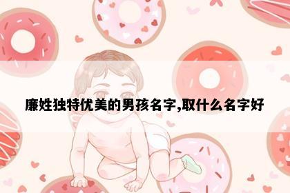 廉姓独特优美的男孩名字,取什么名字好