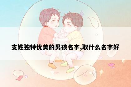 支姓独特优美的男孩名字,取什么名字好