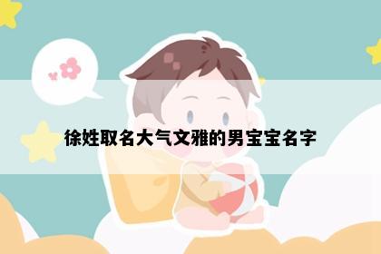 徐姓取名大气文雅的男宝宝名字