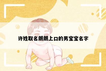 许姓取名朗朗上口的男宝宝名字
