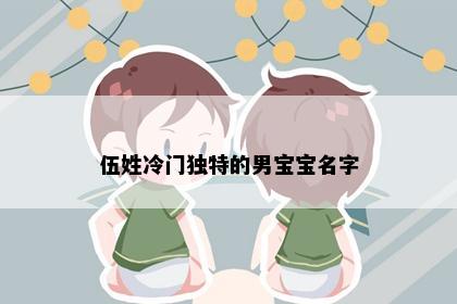 伍姓冷门独特的男宝宝名字