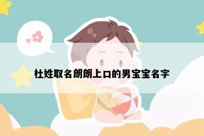 杜姓取名朗朗上口的男宝宝名字