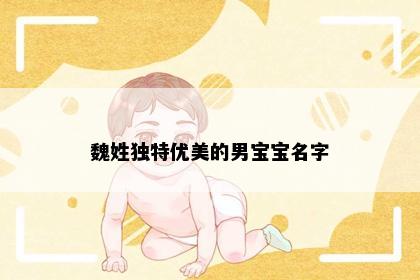 魏姓独特优美的男宝宝名字
