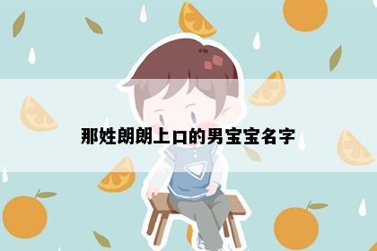 那姓朗朗上口的男宝宝名字