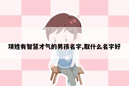 项姓有智慧才气的男孩名字,取什么名字好