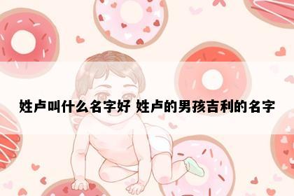 姓卢叫什么名字好 姓卢的男孩吉利的名字