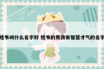 姓韦叫什么名字好 姓韦的男孩有智慧才气的名字