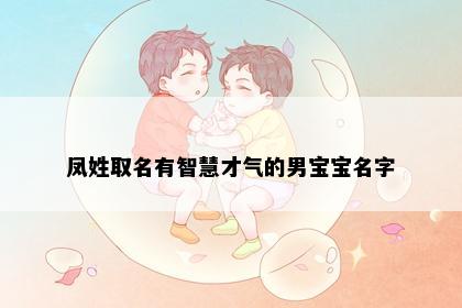 凤姓取名有智慧才气的男宝宝名字