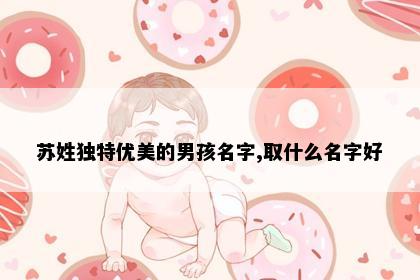苏姓独特优美的男孩名字,取什么名字好