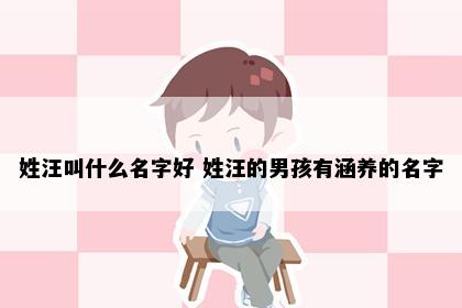 姓汪叫什么名字好 姓汪的男孩有涵养的名字
