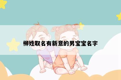 柳姓取名有新意的男宝宝名字