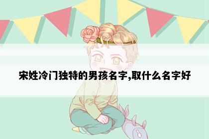 宋姓冷门独特的男孩名字,取什么名字好