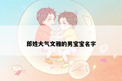 郎姓大气文雅的男宝宝名字