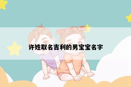 许姓取名吉利的男宝宝名字