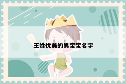 王姓优美的男宝宝名字