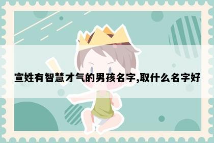宣姓有智慧才气的男孩名字,取什么名字好