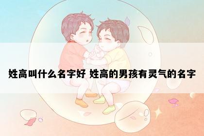 姓高叫什么名字好 姓高的男孩有灵气的名字
