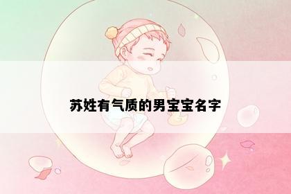 苏姓有气质的男宝宝名字