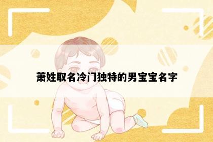 萧姓取名冷门独特的男宝宝名字
