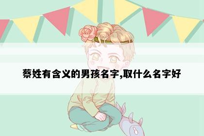 蔡姓有含义的男孩名字,取什么名字好