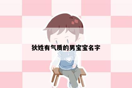 狄姓有气质的男宝宝名字