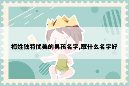 梅姓独特优美的男孩名字,取什么名字好