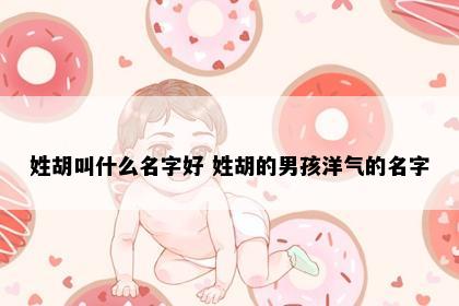 姓胡叫什么名字好 姓胡的男孩洋气的名字