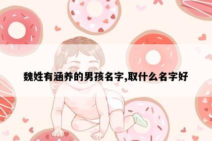 魏姓有涵养的男孩名字,取什么名字好