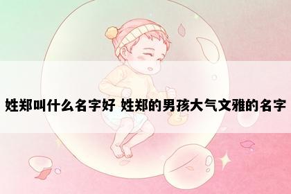 姓郑叫什么名字好 姓郑的男孩大气文雅的名字