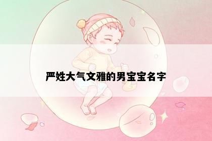 严姓大气文雅的男宝宝名字
