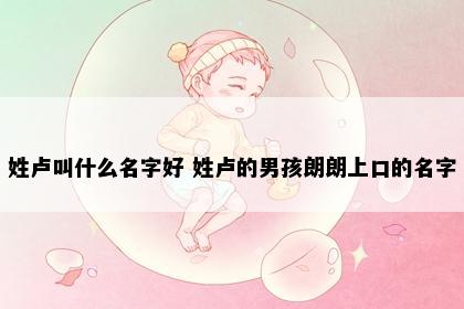 姓卢叫什么名字好 姓卢的男孩朗朗上口的名字
