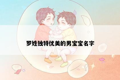 罗姓独特优美的男宝宝名字