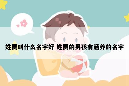 姓贾叫什么名字好 姓贾的男孩有涵养的名字