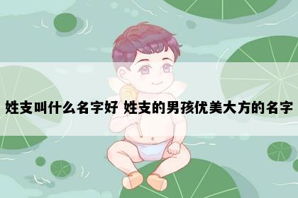 姓支叫什么名字好 姓支的男孩优美大方的名字