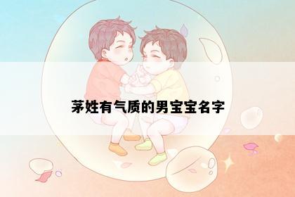 茅姓有气质的男宝宝名字