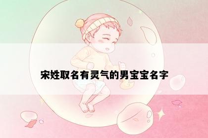 宋姓取名有灵气的男宝宝名字