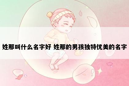 姓那叫什么名字好 姓那的男孩独特优美的名字