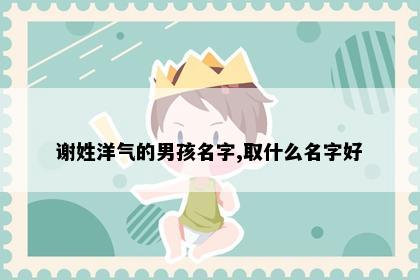 谢姓洋气的男孩名字,取什么名字好