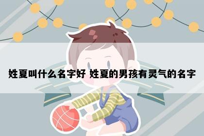 姓夏叫什么名字好 姓夏的男孩有灵气的名字