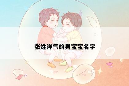 张姓洋气的男宝宝名字