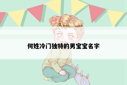 何姓冷门独特的男宝宝名字