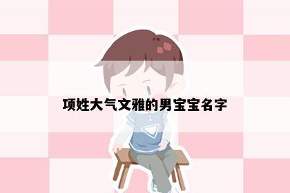 项姓大气文雅的男宝宝名字