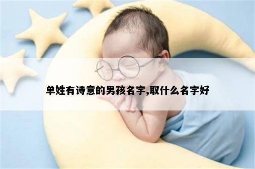单姓有诗意的男孩名字,取什么名字好